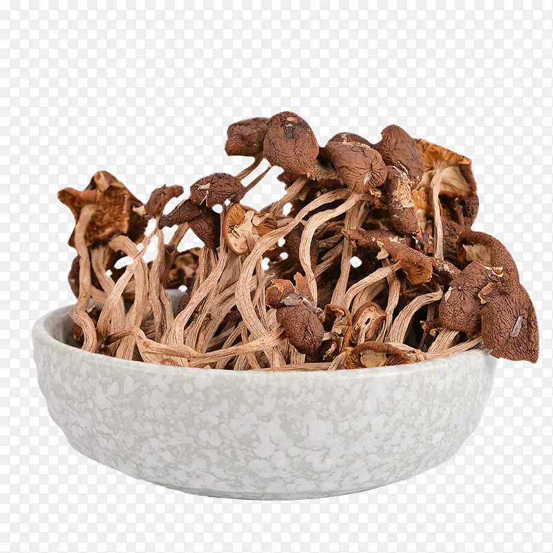 茶树菇食材