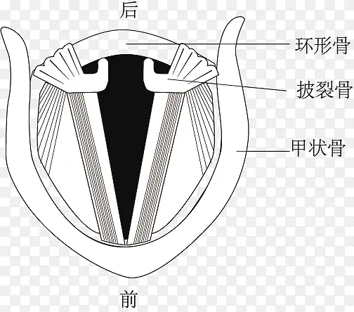 声带发声示意图PNG图片素材下载_图片编号9809289-PNG素材网