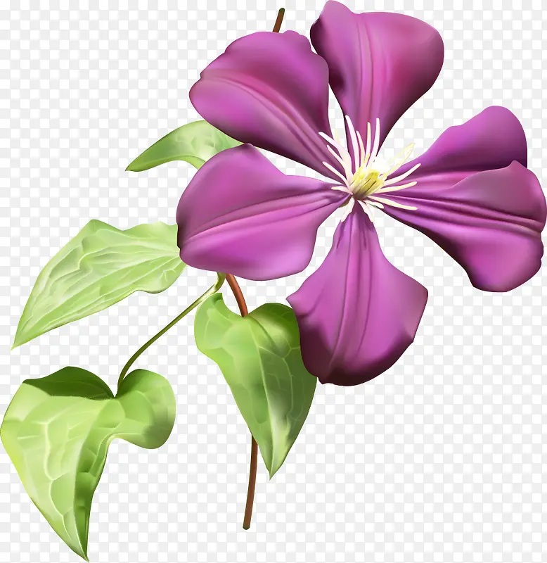 紫色矢量花朵