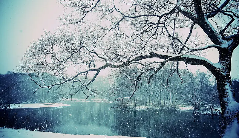 冬季湖面树林风景