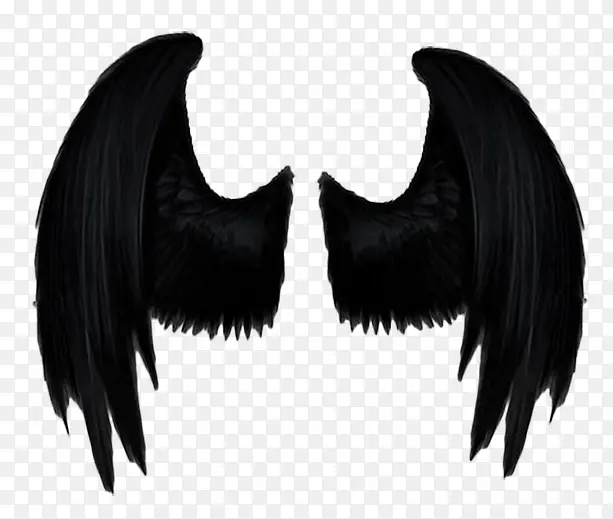 黑色的翅膀素材图片