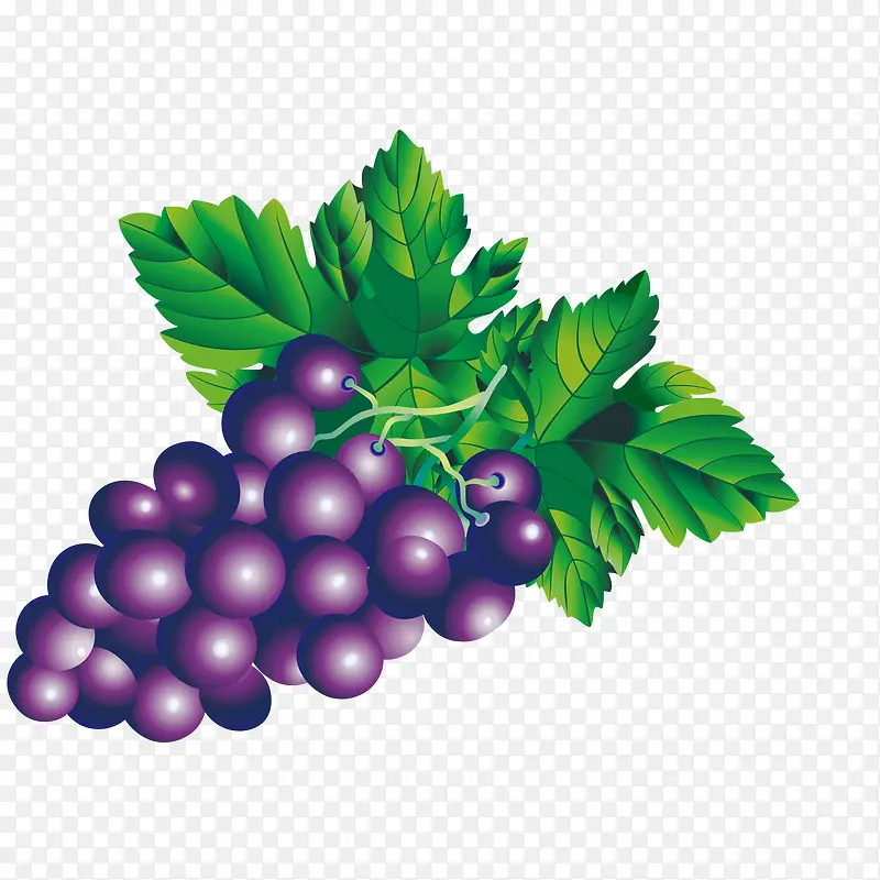 矢量手绘卡通鲜甜紫葡萄免抠图P