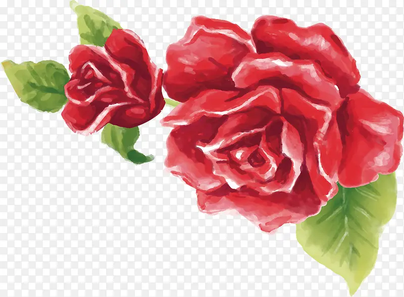 水彩玫瑰花朵设计