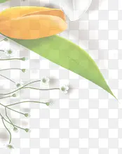 白色唯美清爽花朵设计