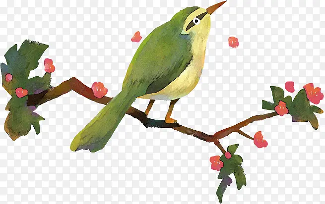 水彩画树枝上的翠绿小鸟