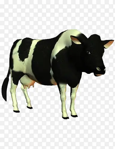 黑白色奶牛动物牛奶
