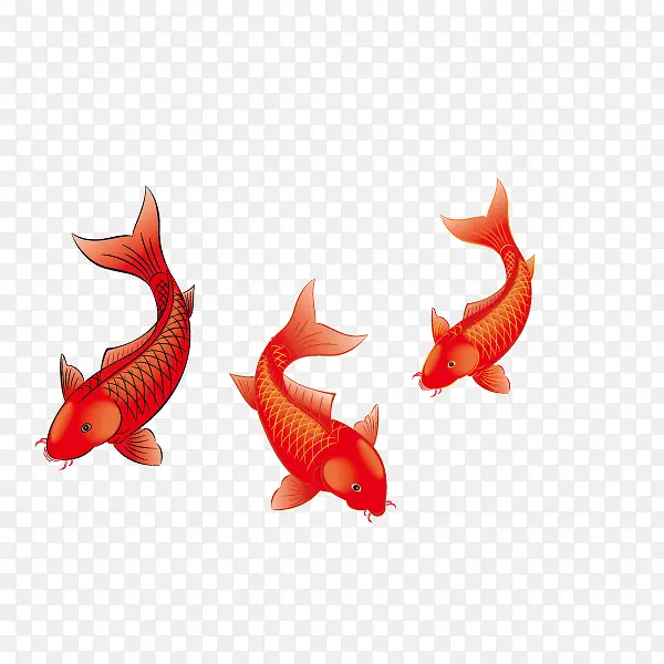 鱼 年年有鱼 红色 写实 装饰图案