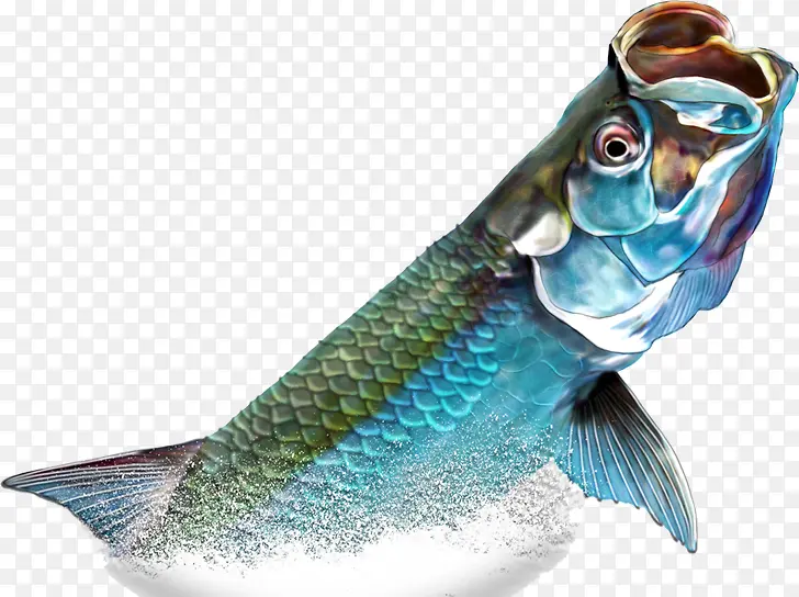 手绘蓝色的鱼