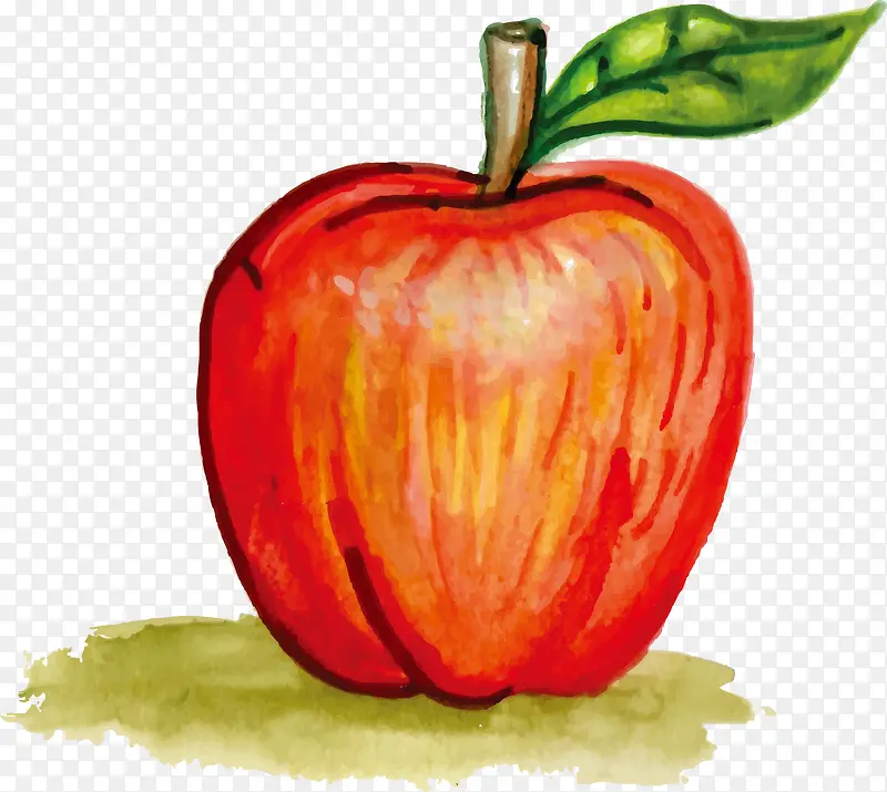 矢量彩绘红苹果