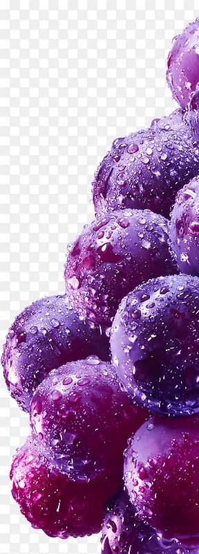 葡萄上的水珠素材图片