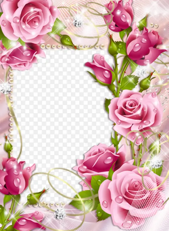 盛开的粉色玫瑰边框