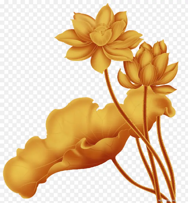 金色中国风莲花装饰图案