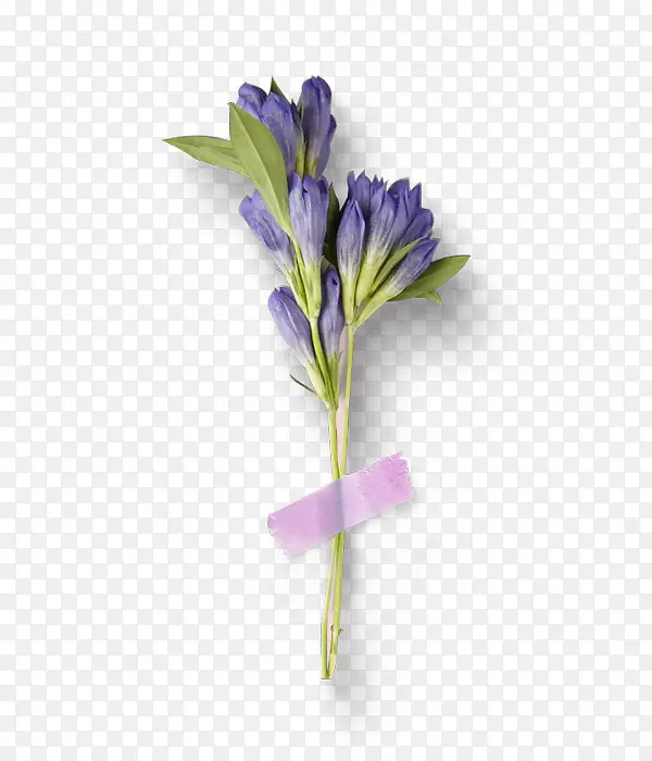 手绘紫色野花装饰素材