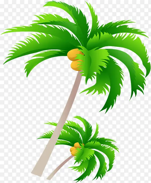 夏日活动植物沙滩椰子树
