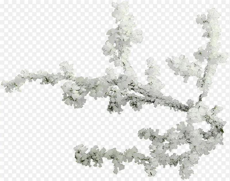 白雪树枝