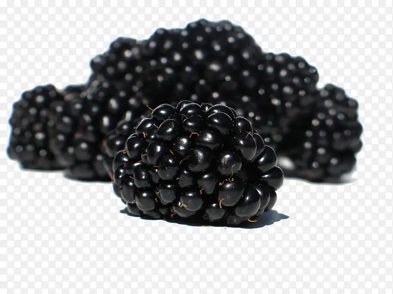 鲜嫩的黑莓