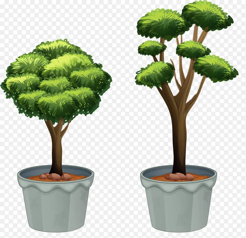 两盆不同类型树