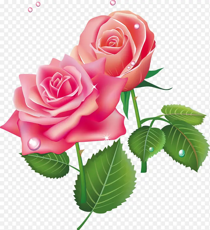 精美玫瑰花束