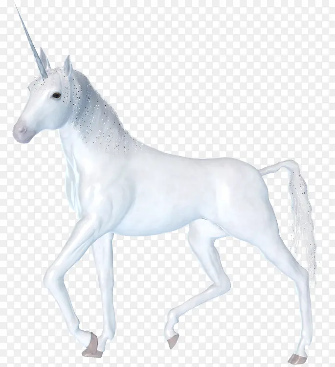 头上长角的白色的马