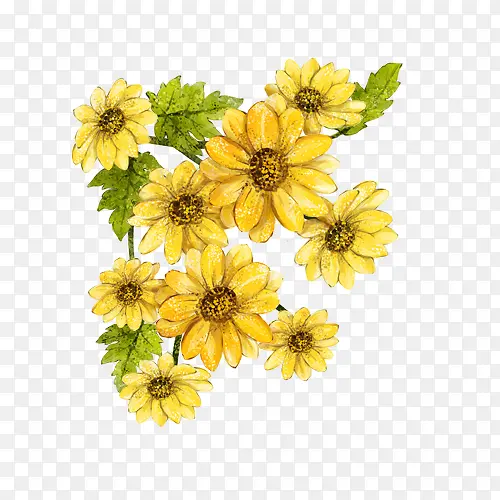 手绘黄色花卉