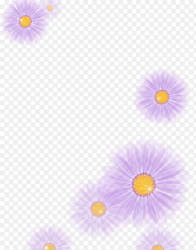 紫色梦幻菊花背景