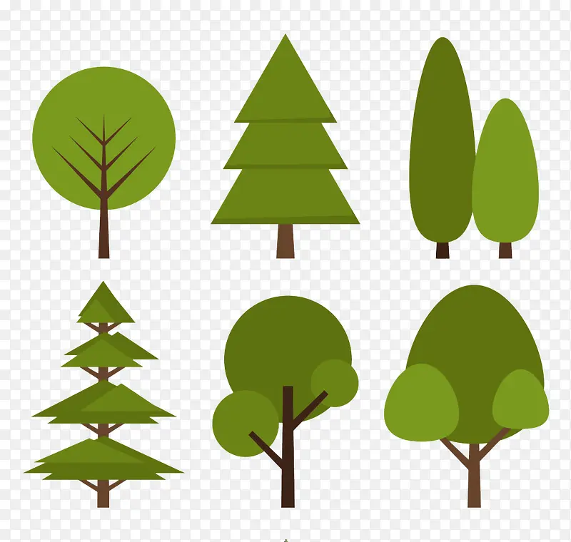 扁平的绿化树种