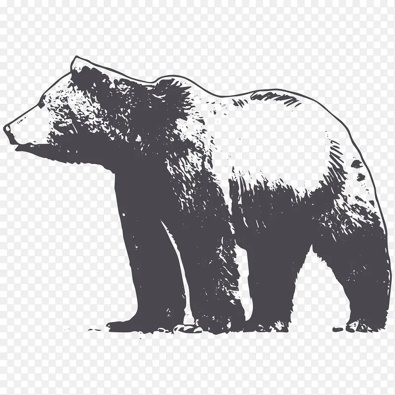卡通手绘黑色的熊