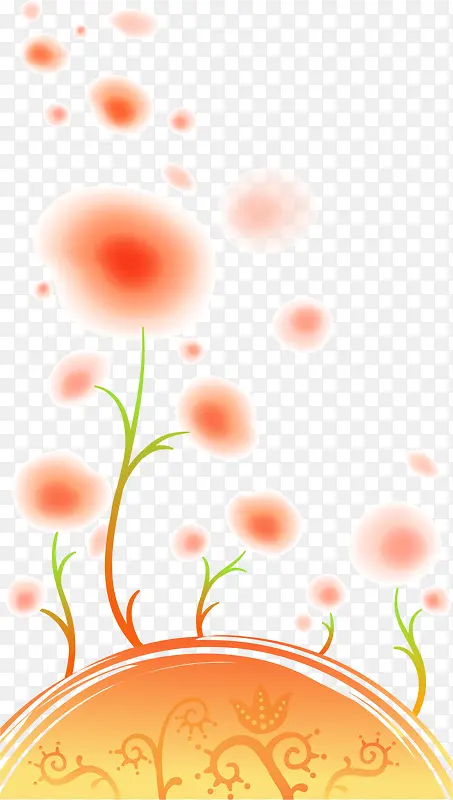 橙色梦幻花