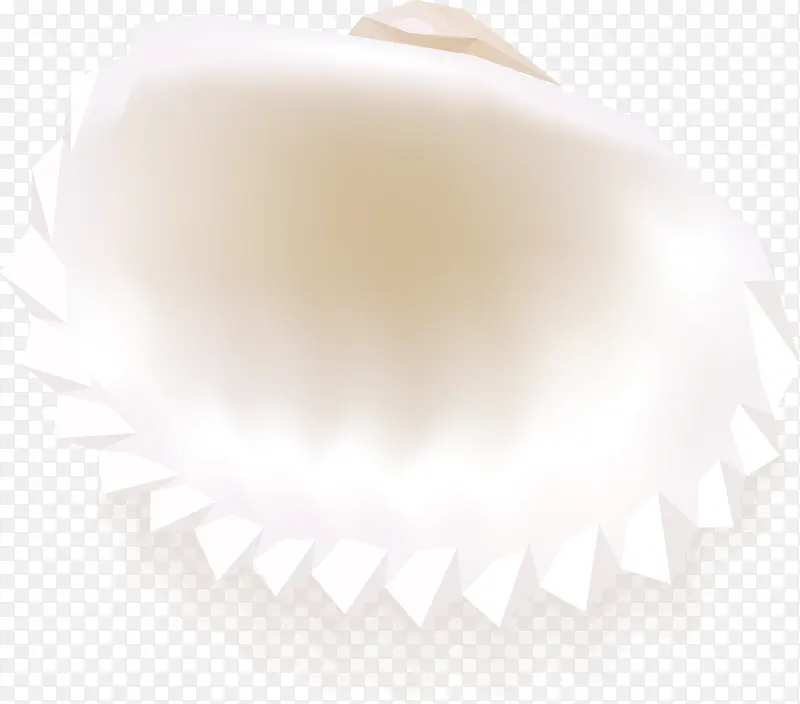 白色的贝壳