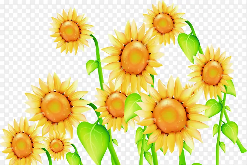 黄色梦幻向日葵花朵植物