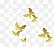 金色的蝴蝶