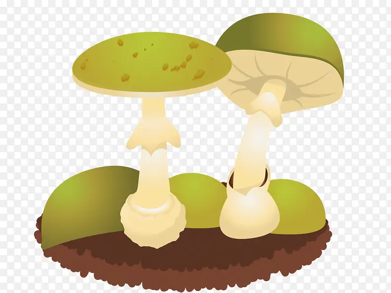 绿色蘑菇素材图片