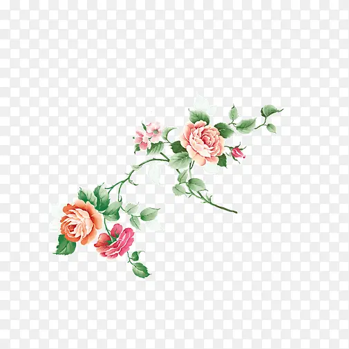 富贵花素材图片