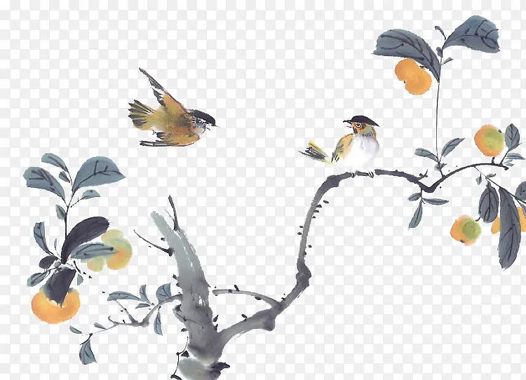树枝小鸟素材图片