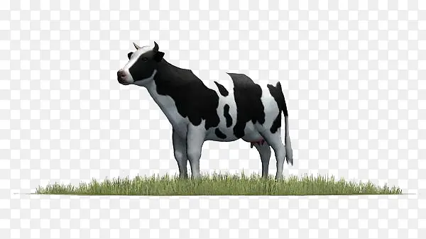 卡通草原上的牛
