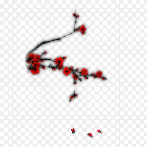 红色梅花花枝图片