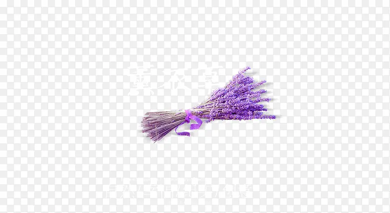 紫色捆绑的花枝