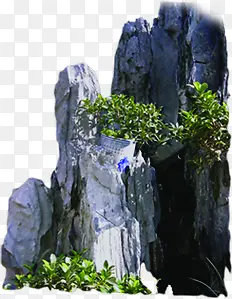 绿色植物假山石头