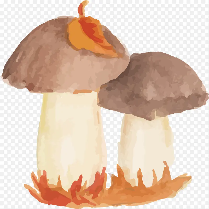 水彩蘑菇设计