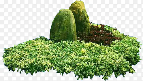 绿色植物假山装饰