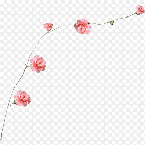粉色玫瑰花花枝边框