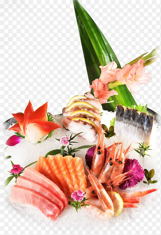 寿司实物图