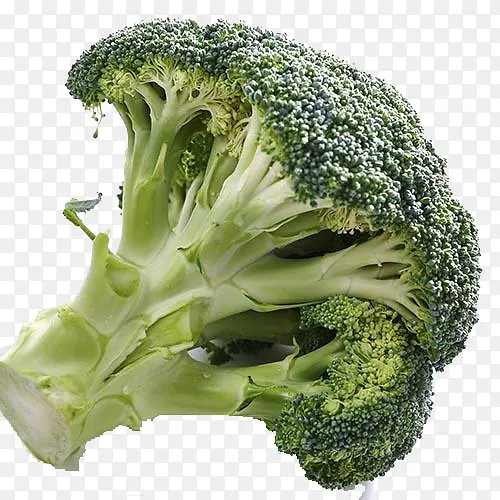 西兰花免抠图片