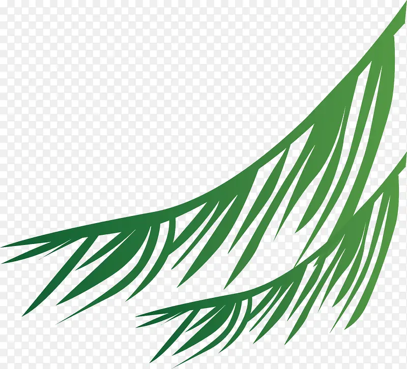 绿色椰叶矢量图