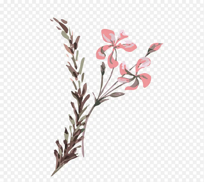 粉色兰花矢量素材