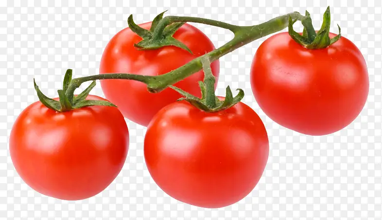 四个红色番茄