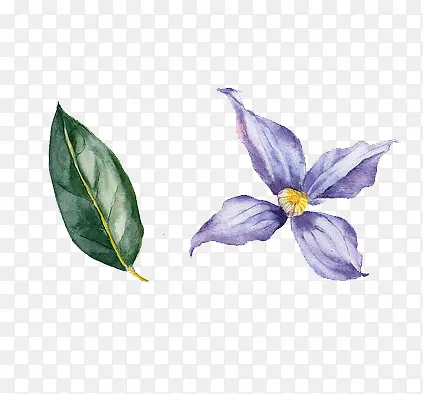 花朵树叶素材