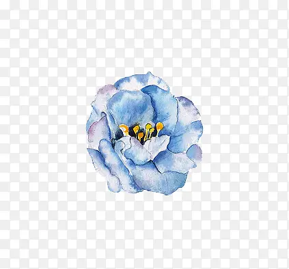 花朵树叶素材