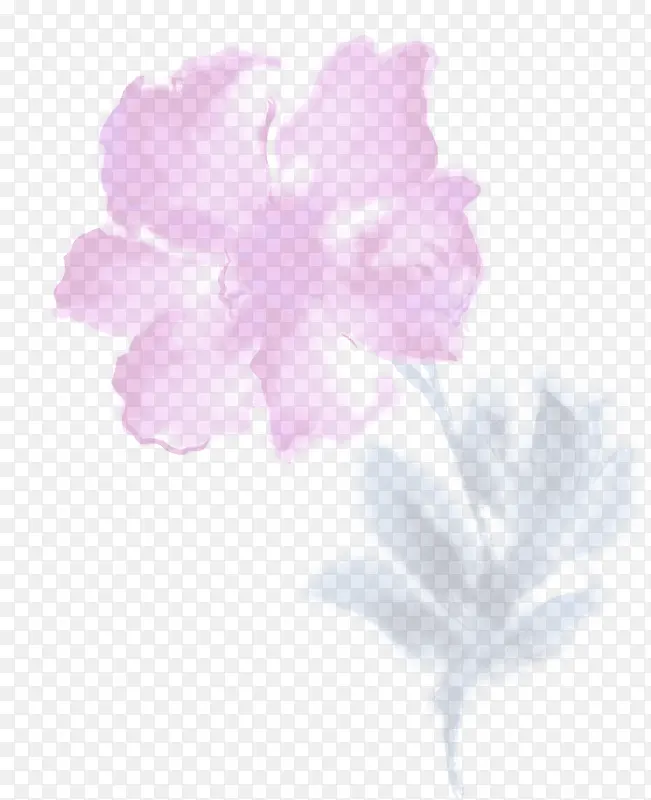 手绘粉色花卉时尚展板