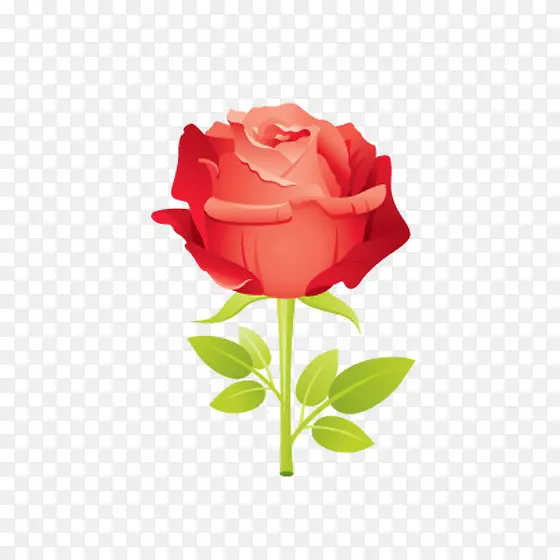 红色玫瑰花植物情人节元素